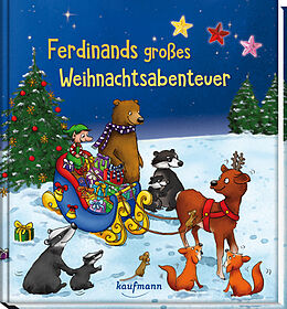 Fester Einband Ferdinands großes Weihnachtsabenteuer von Kristin Lückel
