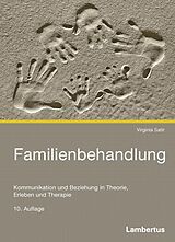 Kartonierter Einband (Kt) Familienbehandlung von Virginia Satir