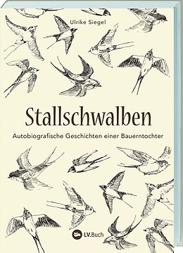 Kartonierter Einband Stallschwalben von Ulrike Siegel