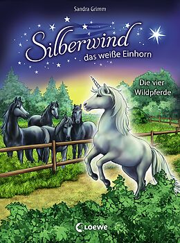 Fester Einband Silberwind, das weiße Einhorn (Band 3) - Die vier Wildpferde von Sandra Grimm