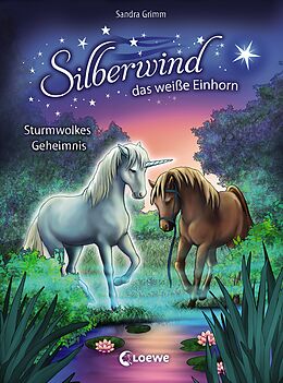 Fester Einband Silberwind, das weiße Einhorn (Band 4) - Sturmwolkes Geheimnis von Sandra Grimm