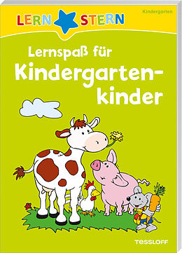 Kartonierter Einband LERNSTERN Lernspaß für Kindergartenkinder von 