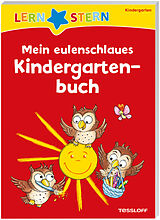 Kartonierter Einband (Kt) LERNSTERN. Mein eulenschlaues Kindergartenbuch von Julia Meyer