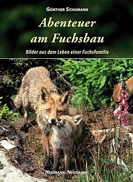 Fester Einband Abenteuer am Fuchsbau von Günter Schumann