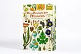 Fester Einband Das Museum der Pflanzen von Katie Scott, Kathy Willis