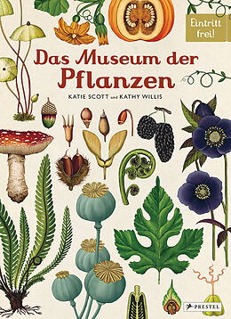 Fester Einband Das Museum der Pflanzen von Katie Scott, Kathy Willis