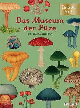 Fester Einband Das Museum der Pilze von Ester Gaya, Katie Scott