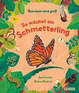 Fester Einband Aus klein wird groß. So wächst ein Schmetterling von Sara Forster, Bianca Austria