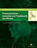 E-Book (pdf) Praxisorientierte Anatomie und Propädeutik des Pferdes von Hartmut Gerhards, Bernhard Huskamp, Eckehard Deegen