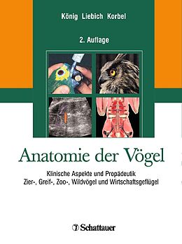 E-Book (pdf) Anatomie der Vögel von 