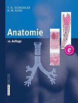E-Book (pdf) Anatomie von Theodor H. Schiebler, Horst-W. Korf