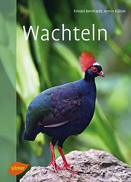 E-Book (pdf) Wachteln von Friedel Bernhardt, Armin Kühne