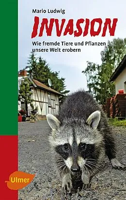 E-Book (pdf) Invasion von Mario Ludwig