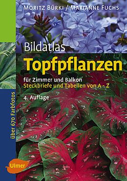 Fester Einband Topfpflanzen von Moritz Bürki, Marianne Fuchs