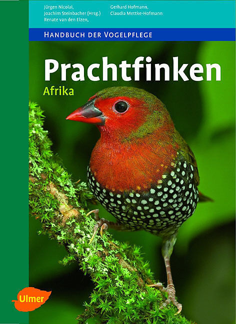 Prachtfinken Afrika