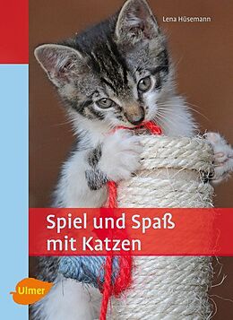 Paperback Spiel und Spaß mit Katzen von Lena Hüsemann