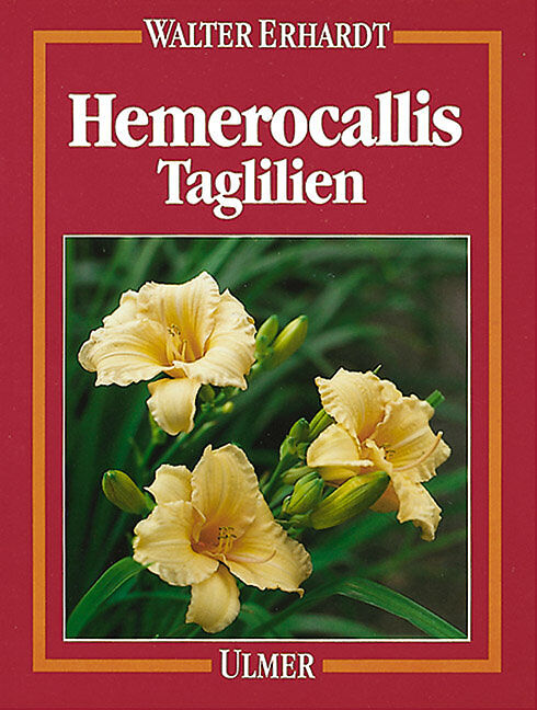 Hemerocallis