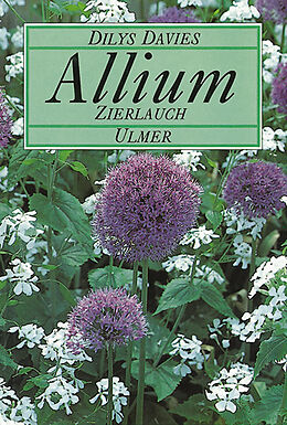 Fester Einband Allium von Dilys Davies