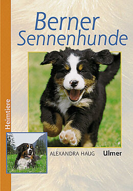 Fester Einband Berner Sennenhunde von Alexandra Haug