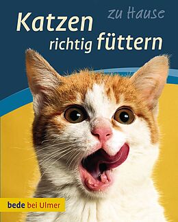Kartonierter Einband Katzen richtig füttern von Anna Laukner