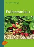 E-Book (epub) Erdbeeranbau von Werner Dierend, Ralf Jung, Tilman Keller