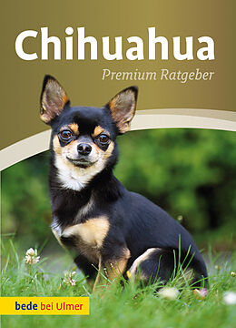 Fester Einband Chihuahua von unter Mitarbeit von Andrea Gerkens-August, Annette Schmitt