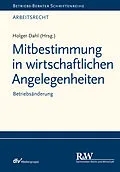 E-Book (epub) Mitbestimmung in wirtschaftlichen Angelegenheiten von Holger Dahl