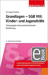 E-Book (pdf) Grundlagen - SGB VIII: Kinder- und Jugendhilfe von Christoph Knödler