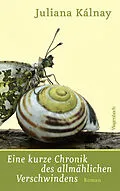 E-Book (epub) Eine kurze Chronik des allmählichen Verschwindens von Juliana Kálnay