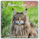 Geheftet Maine Coon Cats  Main Coon Katzen 2025  18-Monatskalender von Plenty Gifts