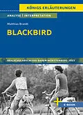E-Book (pdf) Blackbird von Matthias Brandt - Textanalyse und Interpretation von Sabine Hasenbach