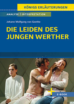 E-Book (pdf) Die Leiden des jungen Werther von Johann Wolfgang von Goethe - Textanalyse und Interpretation von Johann Wolfgang von Goethe