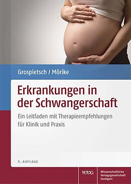 Fester Einband Erkrankungen in der Schwangerschaft von Gerhard Grospietsch, Klaus Mörike