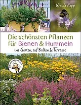 Fester Einband Die schönsten Pflanzen für Bienen und Hummeln u.v.a. nützliche Insekten. Für Garten, Balkon & Terrasse von Ursula Kopp