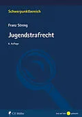 E-Book (epub) Jugendstrafrecht von Franz Streng
