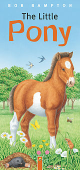 eBook (epub) The Little Pony de Bob Bampton