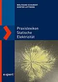 E-Book (pdf) Praxislexikon statische Elektrizität von Wolfgang Schubert, Günter Lüttgens
