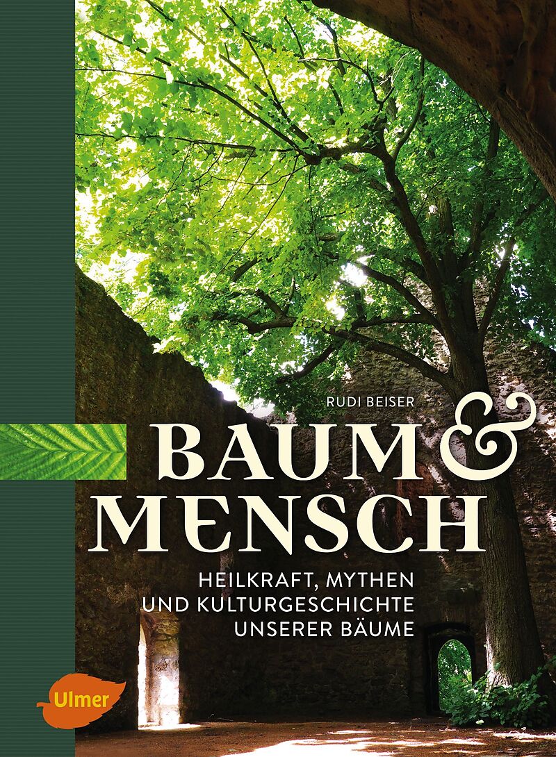 Baum und Mensch