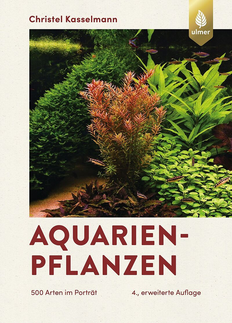 Aquarienpflanzen