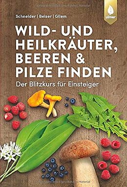 Kartonierter Einband Wild- und Heilkräuter, Beeren und Pilze finden von Christine Schneider, Rudi Beiser, Maurice Gliem