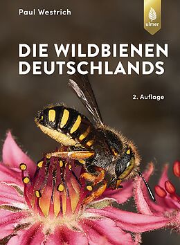 Fester Einband Die Wildbienen Deutschlands von Paul Westrich
