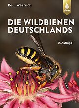 E-Book (pdf) Die Wildbienen Deutschlands von Paul Westrich