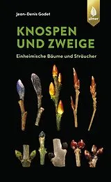 Fester Einband Knospen und Zweige von Jean-Denis Godet