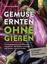 Kartonierter Einband (Kt) Gemüse ernten ohne gießen von Christine Weidenweber