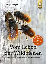 Fester Einband Vom Leben der Wildbienen von Philippe Boyer