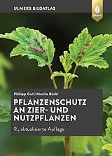 Fester Einband Pflanzenschutz an Zier- und Nutzpflanzen von Philipp Gut, Moritz Bürki