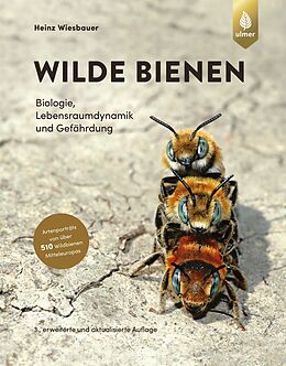 Fester Einband Wilde Bienen von Heinz Wiesbauer