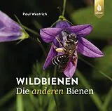 Fester Einband Wildbienen, die anderen Bienen von Paul Westrich