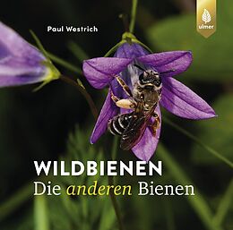 E-Book (pdf) Wildbienen, die anderen Bienen von Paul Westrich