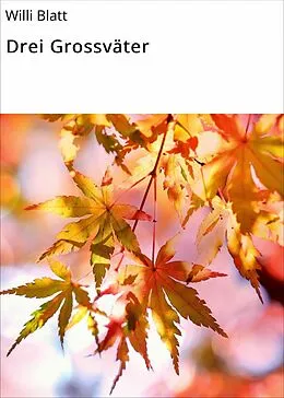 E-Book (epub) Drei Grossväter von Willi Blatt